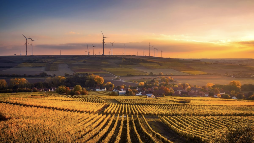 24th march 2021

I casi di contenzioso sul bilanciamento tra interessi economici, ambientali e sociali si moltiplicano. La sostenibilità comincia a muovere una montagna di soldi e la soave prosopopea che ci ha accompagnati fino ad oggi lascia spazio ad uno scontro durissimo.  